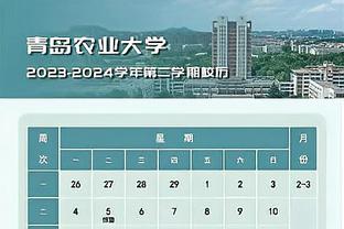 高效全能！约基奇半场8中6拿到12分4板6助